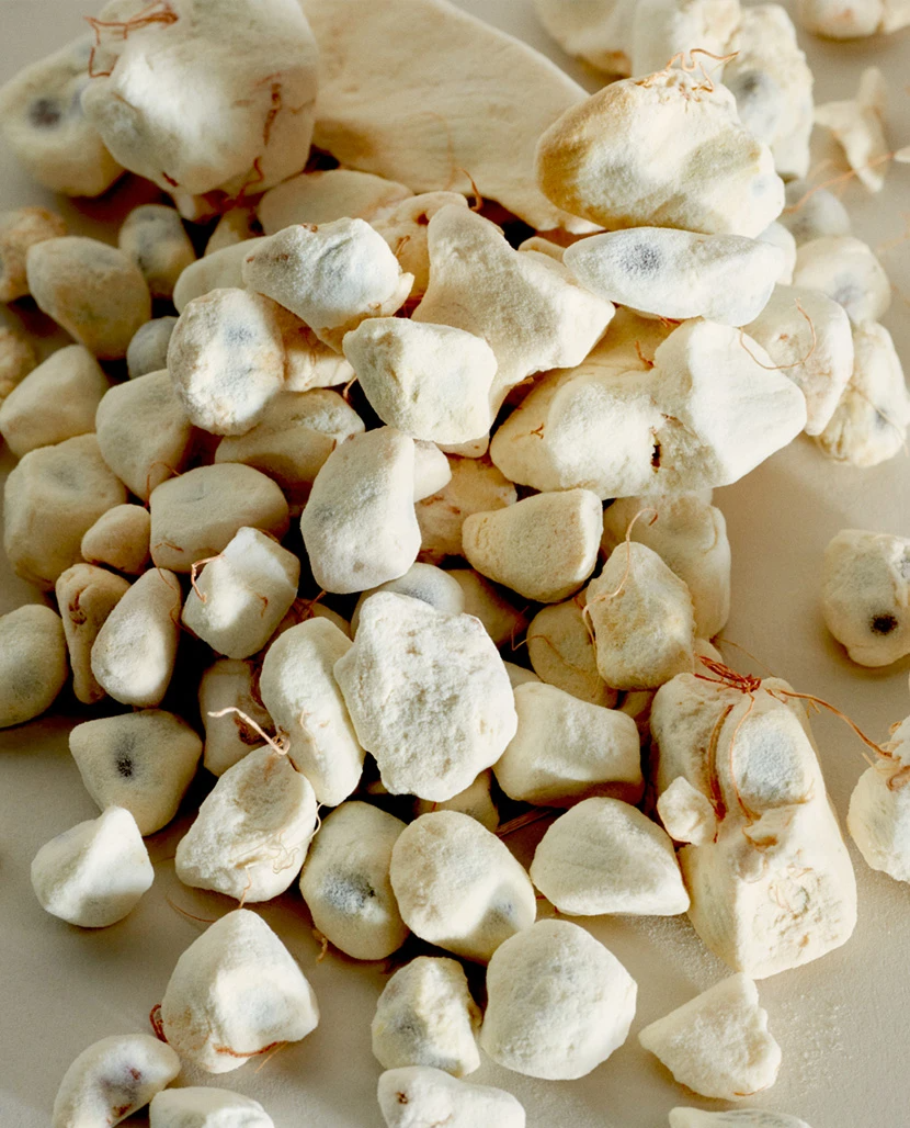 Baobab oil