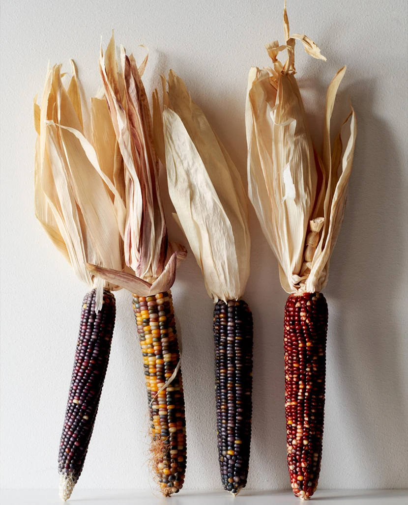 Corn